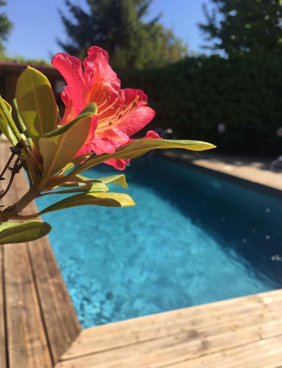 Le Temps Des Pauses Otel Viviers Dış mekan fotoğraf